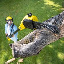 Best Arborist Consultation Services  in Medford Lakes, NJ